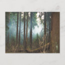 Search for smokey postcards Trees
