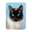 Recherche de peinture de chat magnets Chaton