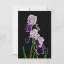 Search for bearded iris cards invites Purple flowers