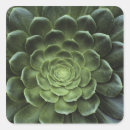 Search for complex gift wrap Green