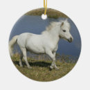 Search for miniature horse ornaments Running