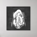 Recherche de anatomique art Pour tous