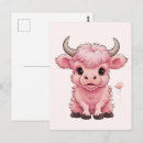 Recherche de scottish highland cartes postales Vache