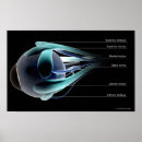 Recherche de oeil humain posters Partie