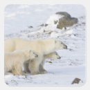 Recherche de churchill autocollants Cuiller