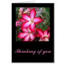 Recherche de salutation rouge de fleur Family
