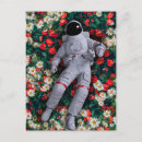 Recherche de fleurs rouges et blanches cartes postales Jardin