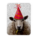 Search for sheep magnets Animals