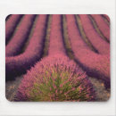 Recherche de provence tapis souris Fleur