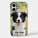 Search for border collie cases Funny