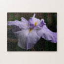 Search for iris puzzles Nature