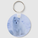 Search for arctic fox keychains Nature