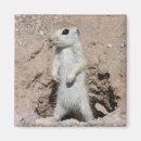 Search for powerfulness magnets Photography