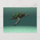 Search for digital turtles postcards Ocean