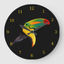 Recherche de oiseau jaune horloges Faune