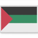 Search for palestinian flag crafts party National