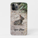 Search for tiny small photography Wildlife