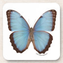 Recherche de papillon bleu dessous de verres Papillons bleus