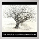 Search for pen and ink drawings posters Tree
