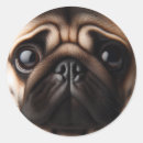 Search for pug face stickers Pugs