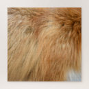 Search for red fox puzzles Wild