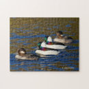 Search for rowing fours Colourful