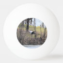 Recherche de voler balles ping pong Oiseau