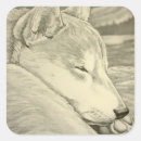 Search for shiba inu dog stickers Japanese