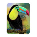 Recherche de oiseau exotique magnets Tropical