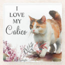 Search for calico cat coasters Animals