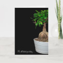 Search for bonsai tree cards Plant