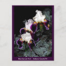 Search for white iris postcards Purple