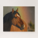 Search for wild horse puzzles Stallion