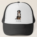 Search for dog hats Bernese mountain dog