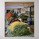 Search for vegetable posters Orange