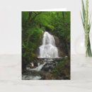 Search for small waterfall cards Forest