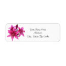 Search for pink lilies return address labels Flowers