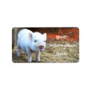 Search for rural return address labels Country
