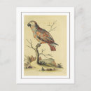 Recherche de peinture africaine cartes postales Vintage