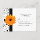 Search for african daisies invitations Elegant