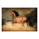 Recherche de étalon sauvage posters Animal