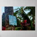 Search for hawaii wall posters Palm tree