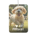 Search for pet photo car air fresheners Diy