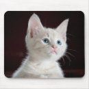 Recherche de cuties tapis souris Mignonne