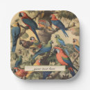 Search for parrot plates Rainforest