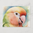 Search for lovebird postcards Pet