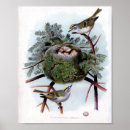 Search for antique bird nest posters Birds