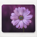 Recherche de rose lumineux tapis souris Beau
