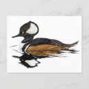 Search for waterbird postcards Waterfowl