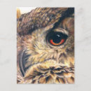 Search for eagle hunter postcards Bird